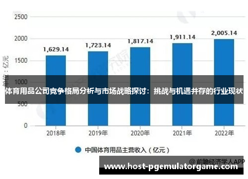 体育用品公司竞争格局分析与市场战略探讨：挑战与机遇并存的行业现状