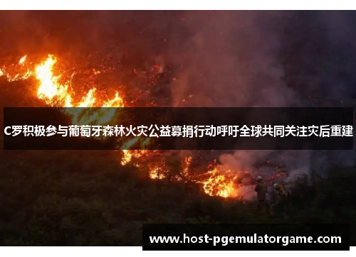 C罗积极参与葡萄牙森林火灾公益募捐行动呼吁全球共同关注灾后重建