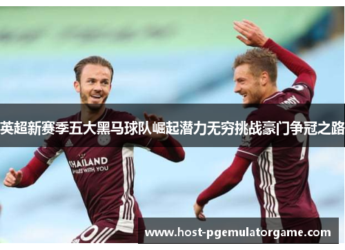 英超新赛季五大黑马球队崛起潜力无穷挑战豪门争冠之路