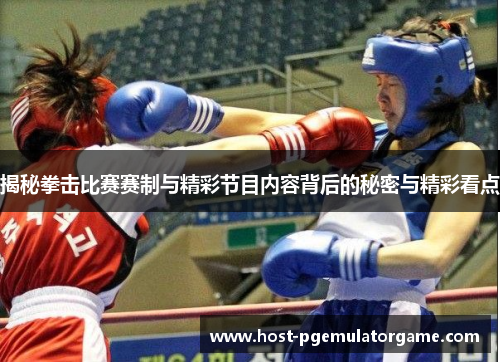 揭秘拳击比赛赛制与精彩节目内容背后的秘密与精彩看点