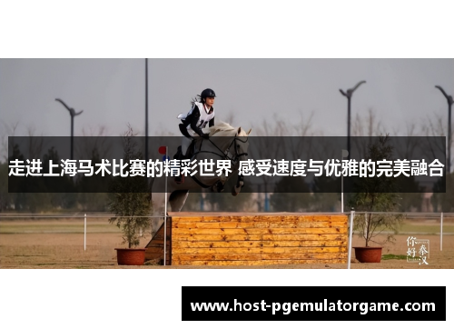 走进上海马术比赛的精彩世界 感受速度与优雅的完美融合