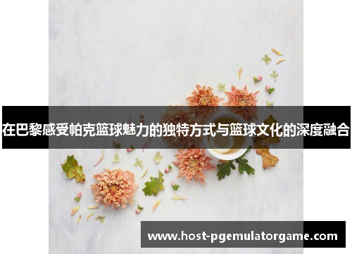 在巴黎感受帕克篮球魅力的独特方式与篮球文化的深度融合