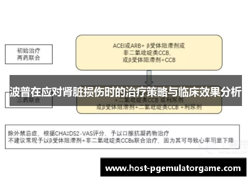 波普在应对肾脏损伤时的治疗策略与临床效果分析