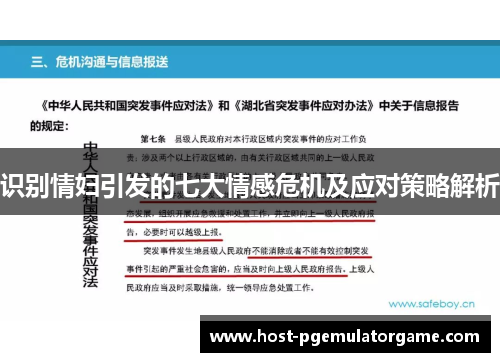 识别情妇引发的七大情感危机及应对策略解析