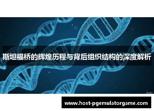 斯坦福桥的辉煌历程与背后组织结构的深度解析