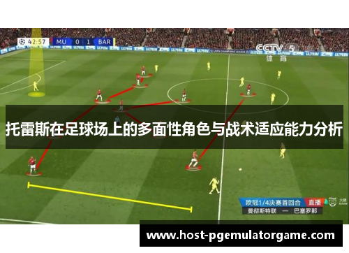 托雷斯在足球场上的多面性角色与战术适应能力分析
