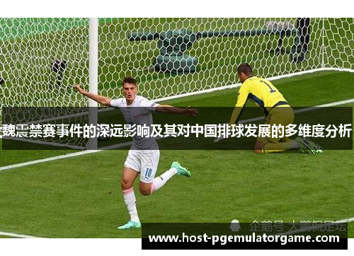 魏震禁赛事件的深远影响及其对中国排球发展的多维度分析