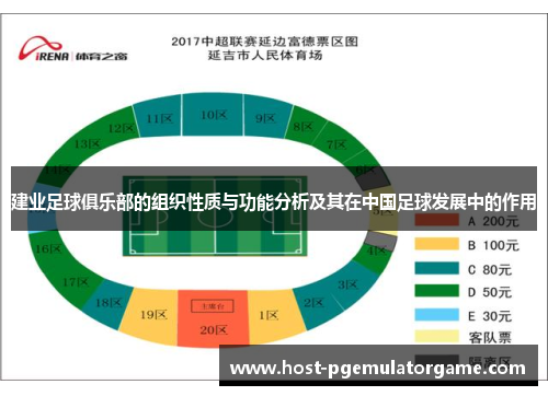 建业足球俱乐部的组织性质与功能分析及其在中国足球发展中的作用