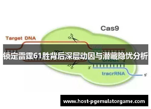 锁定雷霆61胜背后深层动因与潜藏隐忧分析