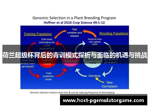 荷兰超级杯背后的青训模式探析与面临的机遇与挑战