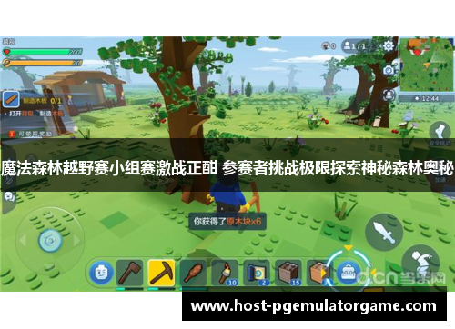 魔法森林越野赛小组赛激战正酣 参赛者挑战极限探索神秘森林奥秘