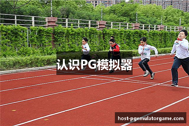 认识PG模拟器